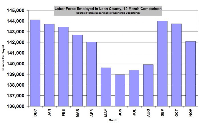 Leon County Employment Falls in November