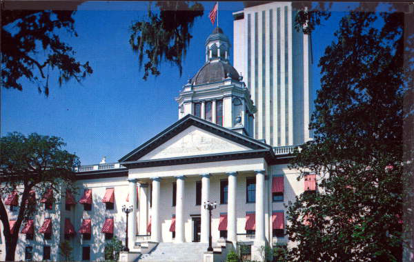 10 Big Issues in the 2024 Session Tallahassee Reports