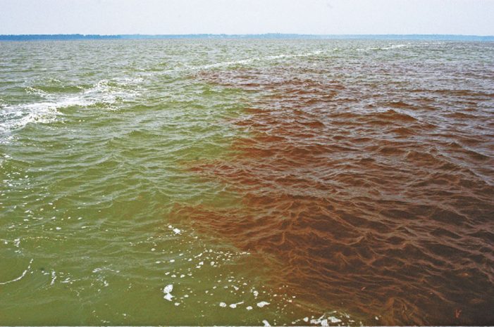 Scott Seeks Red Tide Research, Draws Criticism – Tallahassee Reports
