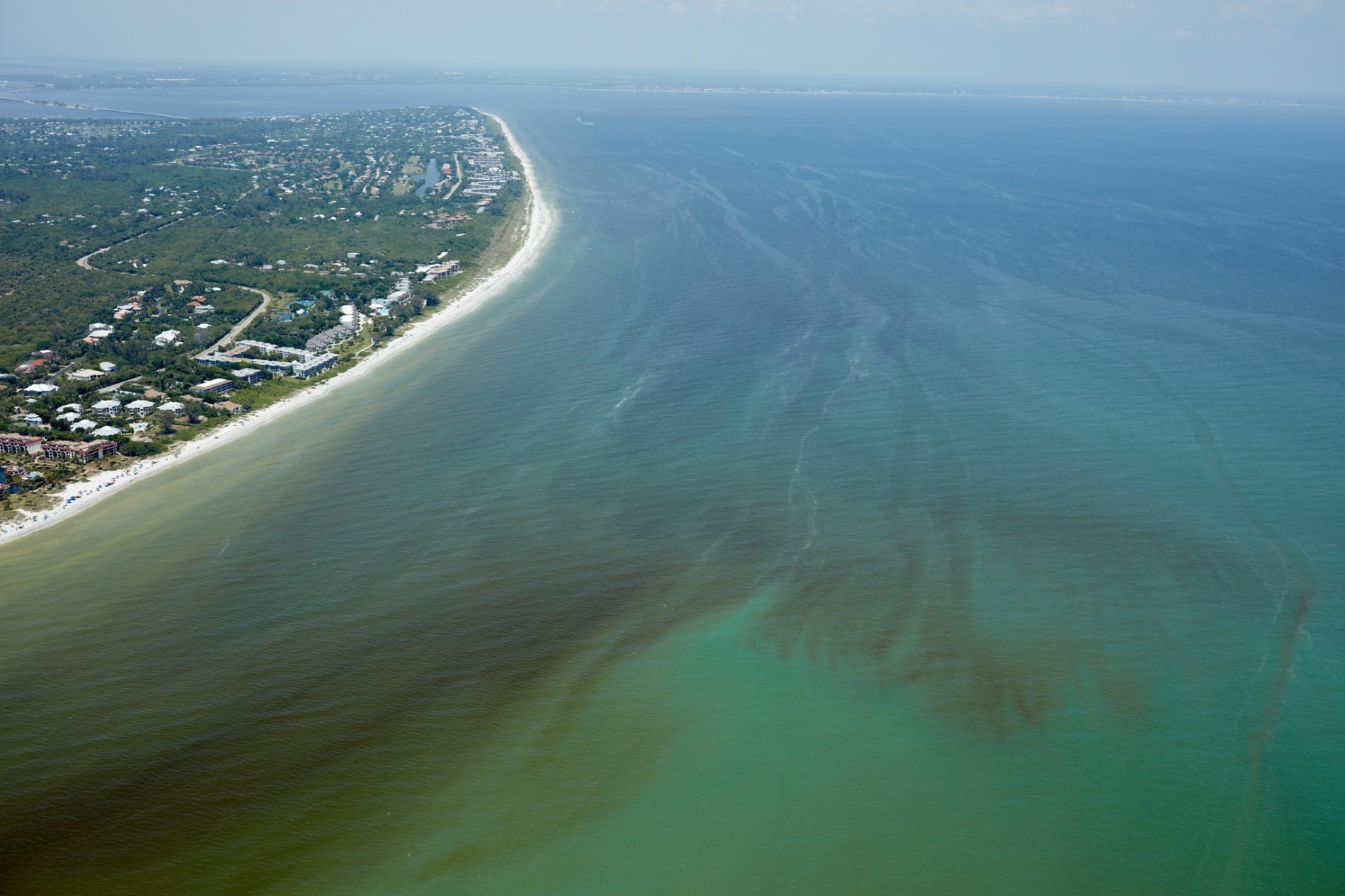 red tide florida cause