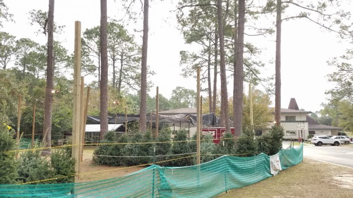 Local Scouting Troop Sells Christmas Trees at Killearn United Methodist Church