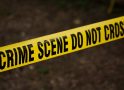 TPD Investigating Homicide