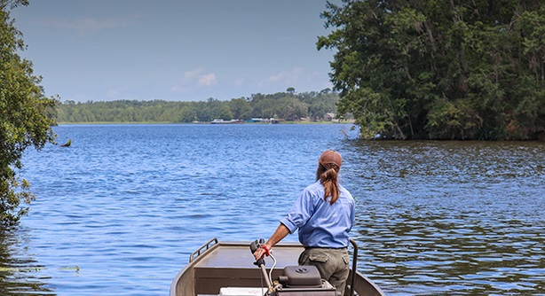 Leon County Launches Water Resource Website