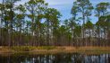 State Parks Bill Advances in House