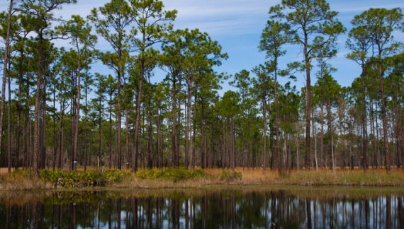 State Parks Bill Advances in House