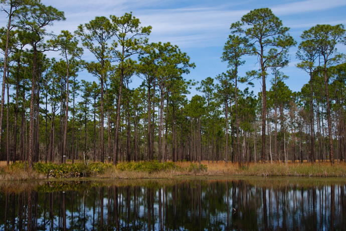 DeSantis Praised, Criticized Over Environmental Spending