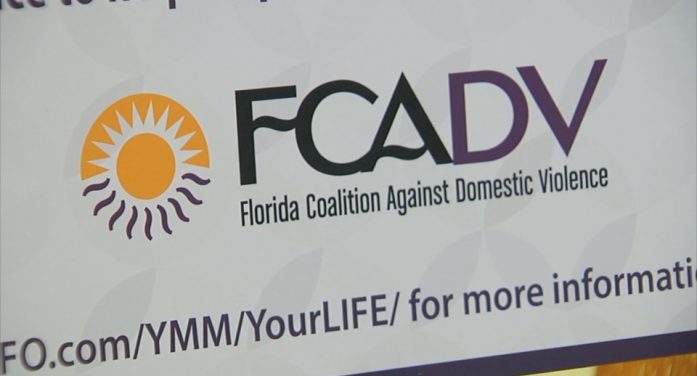 Ex-Domestic Violence Agency CEO Enters Plea