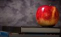 Study Reveals Lack of Confidence in Florida Schools