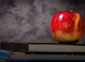 Study Reveals Lack of Confidence in Florida Schools