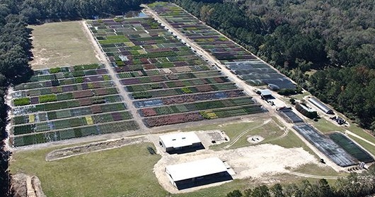 Local Business, Perfect Plants Nursery, Makes “Fastest Growing” List