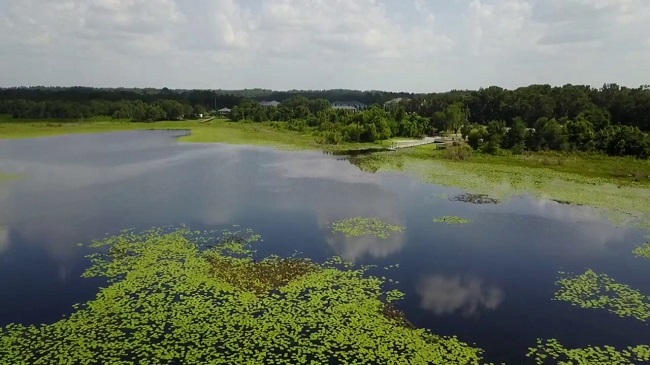 Leon County Announces $800K Federal Appropriation to Benefit Lake Jackson