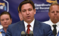 DeSantis Touts ‘State DOGE Task Force’