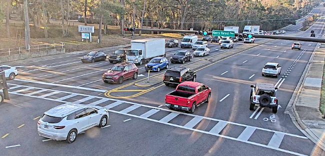 Leon County Pedestrian Safety: What Do the Numbers Show?