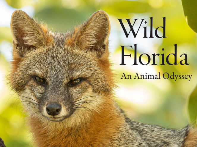 Midtown Reader to Host “Wild Florida” Author