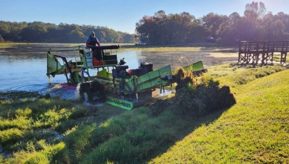 Lake Killarney Clean Up