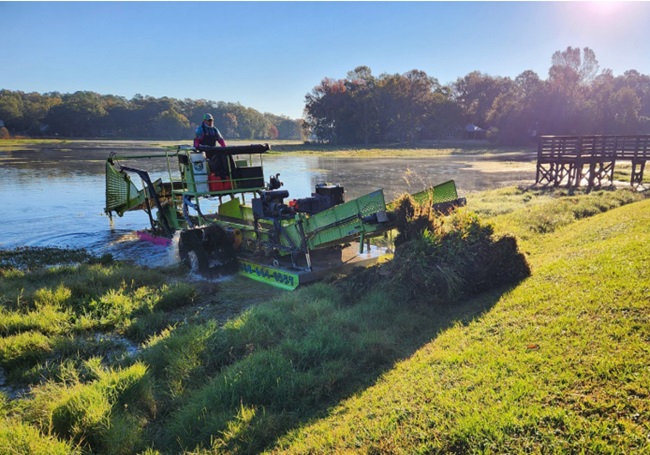 Lake Killarney Clean Up