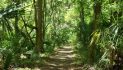 North Florida Conservation Deals Eyed