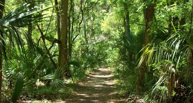 North Florida Conservation Deals Eyed North Florida Conservation Deals Eyed
