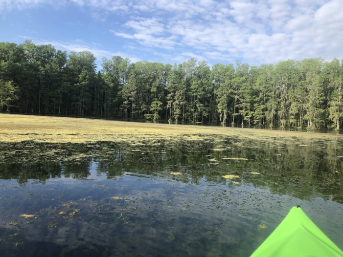 Leon County to Get Lake Munson Update