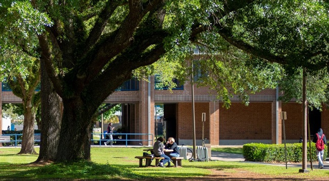 Tallahassee State College Approves Groundbreaking Charter School Proposal