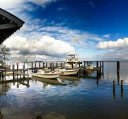 ‘Limited’ Oyster Harvesting Eyed in Apalachicola Bay