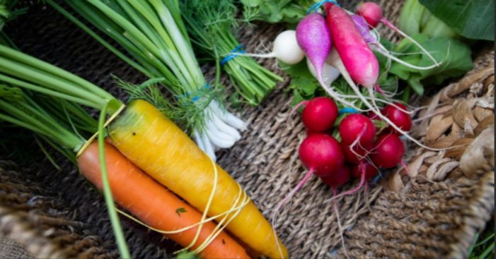 Albritton, Simpson to Tout Food Program