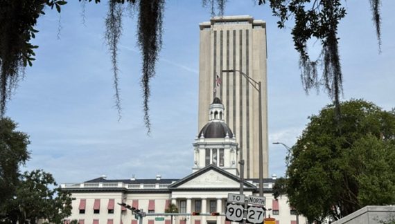 Florida Republicans Propose Ban on Political Flags on Government Buildings