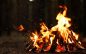 Leon County Issues Burn Ban